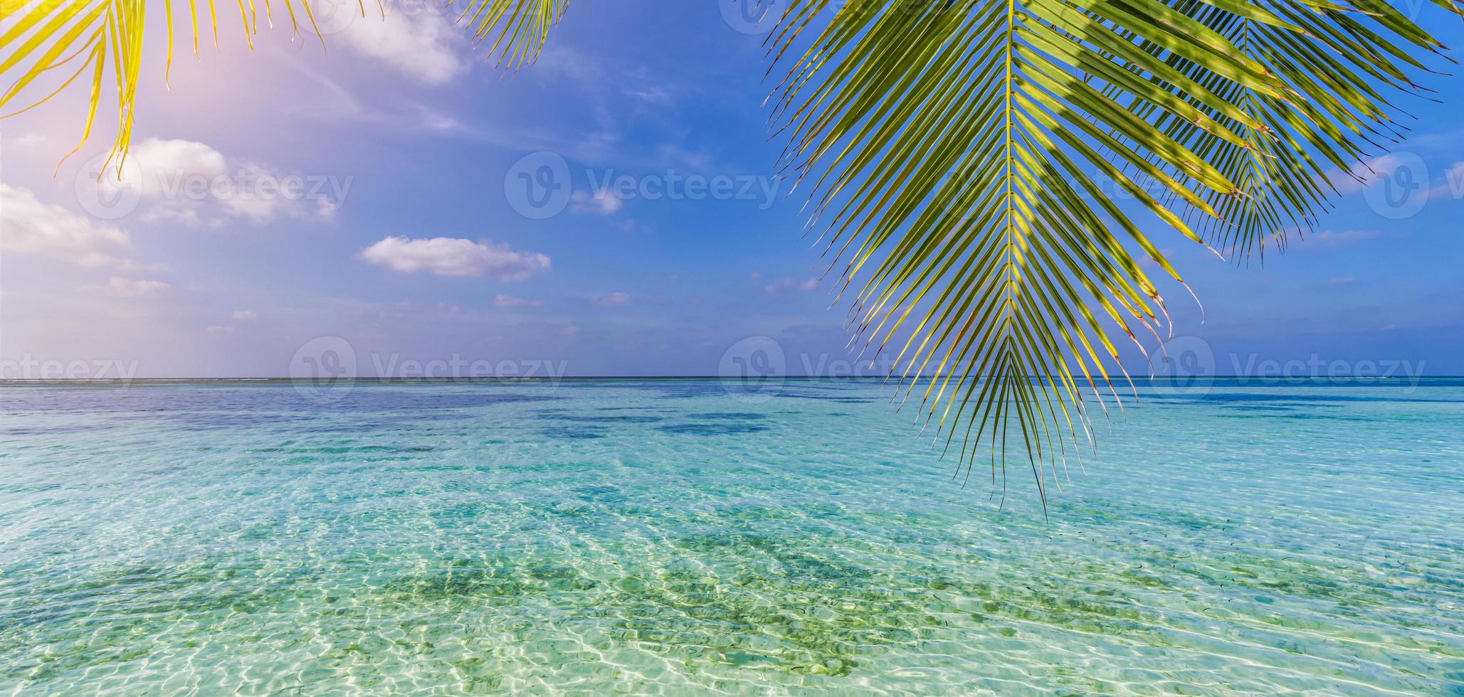 Green leaves of palm tree over tropical beach. Panoramic paradise island view sea lagoon, relaxing nature background turquoise water seascape. Sunny panorama, summer beach landscape exotic destination photo