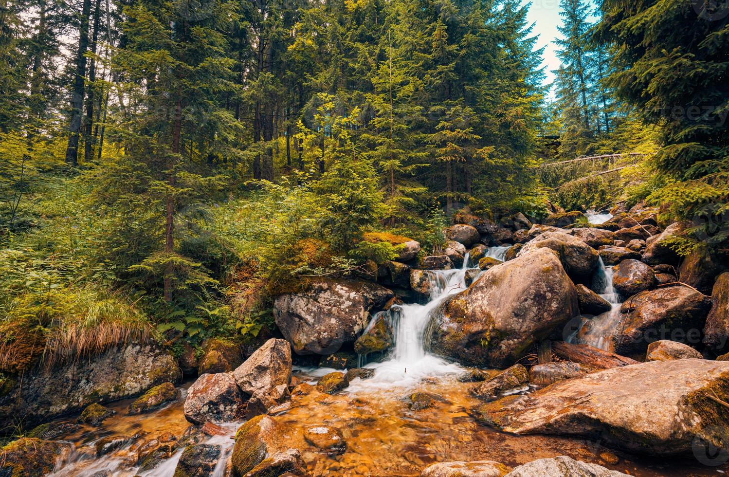 Beautiful close up ecology nature landscape with mountain creek. Abstract long exposure forest stream with pine trees and green foliage background. Autumn tiny waterfall rocks, amazing sunny nature photo