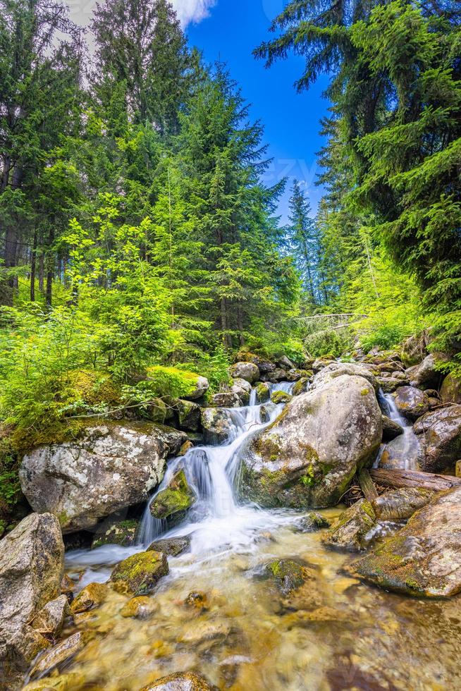 Beautiful close up ecology nature landscape with mountain creek. Abstract long exposure forest stream with pine trees and green foliage background. Autumn tiny waterfall rocks, amazing sunny nature photo