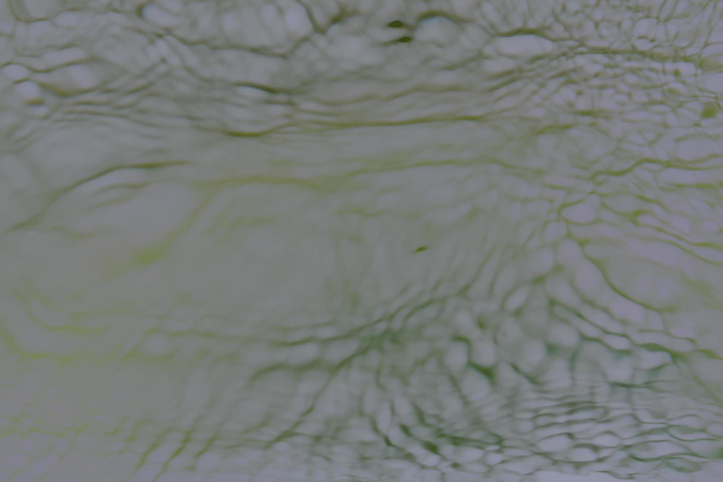 Defocus blurred transparent blue colored clear calm water surface texture with splashes and bubbles. Trendy abstract nature background. Water waves in sunlight with copy space. Blue watercolor shining photo