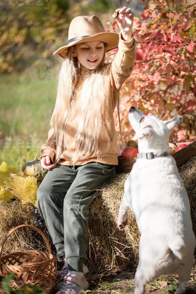 Little girl playing with dog in autumn garden photo