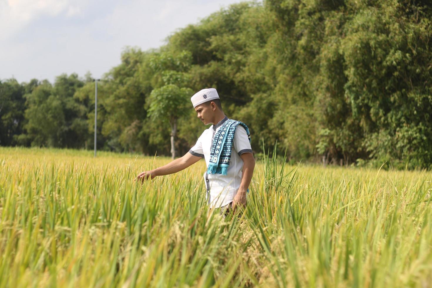 young asian muslim boy in the rice field photo