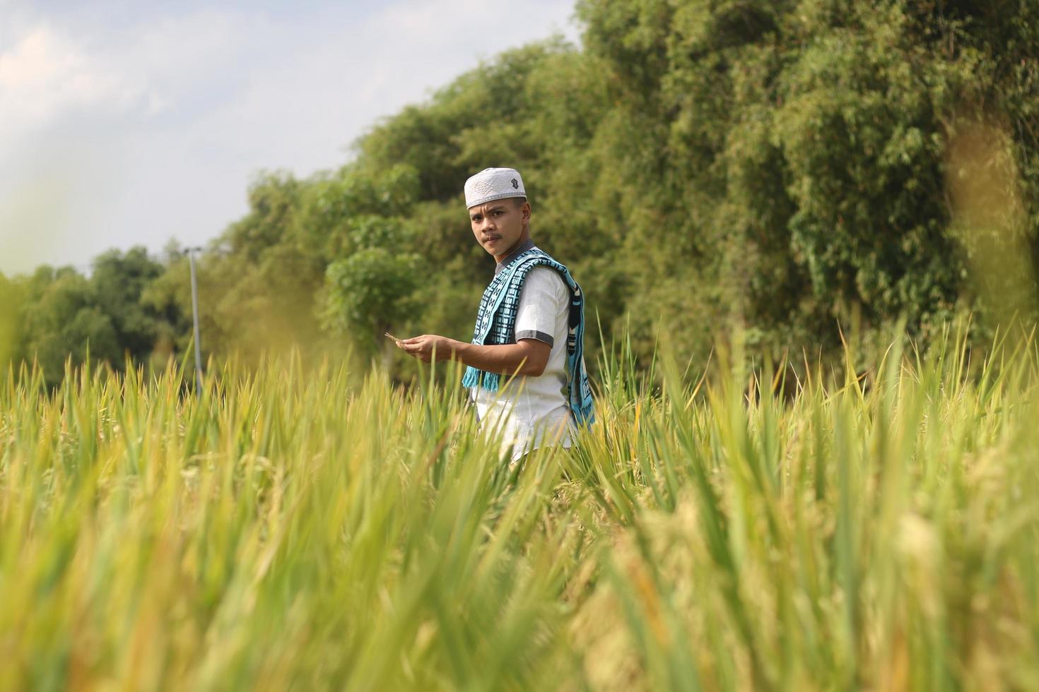 young asian muslim boy in the rice field photo