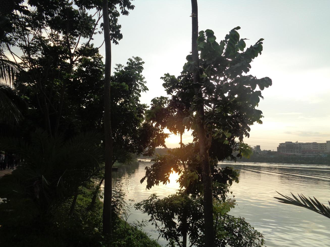 natural river with tree images photo