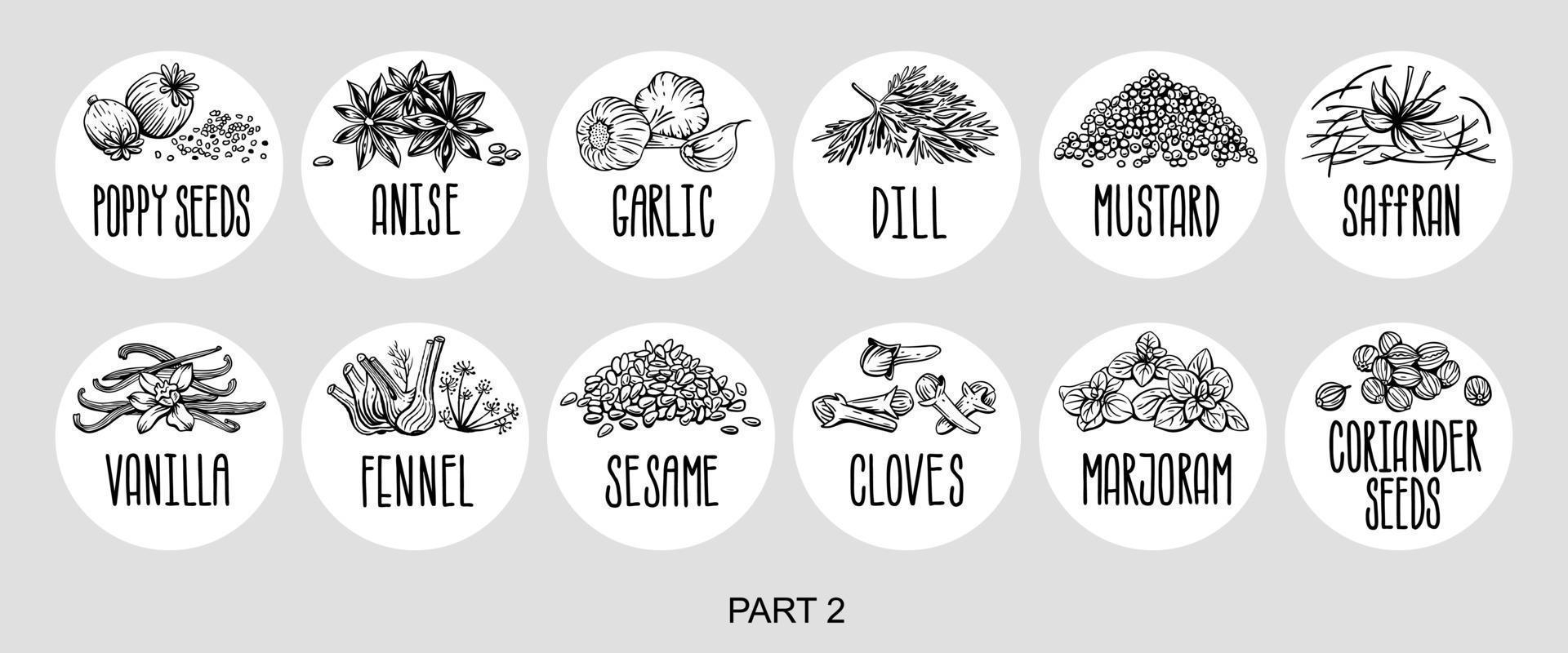 conjunto vectorial de pegatinas para especias. albahaca, perejil, cilantro, romero, canela, chile, pimienta, tomillo, cúrcuma, pimienta negra, jengibre, orégano, comino, amapola, anís, ajo, eneldo, mostaza, azafrán vector