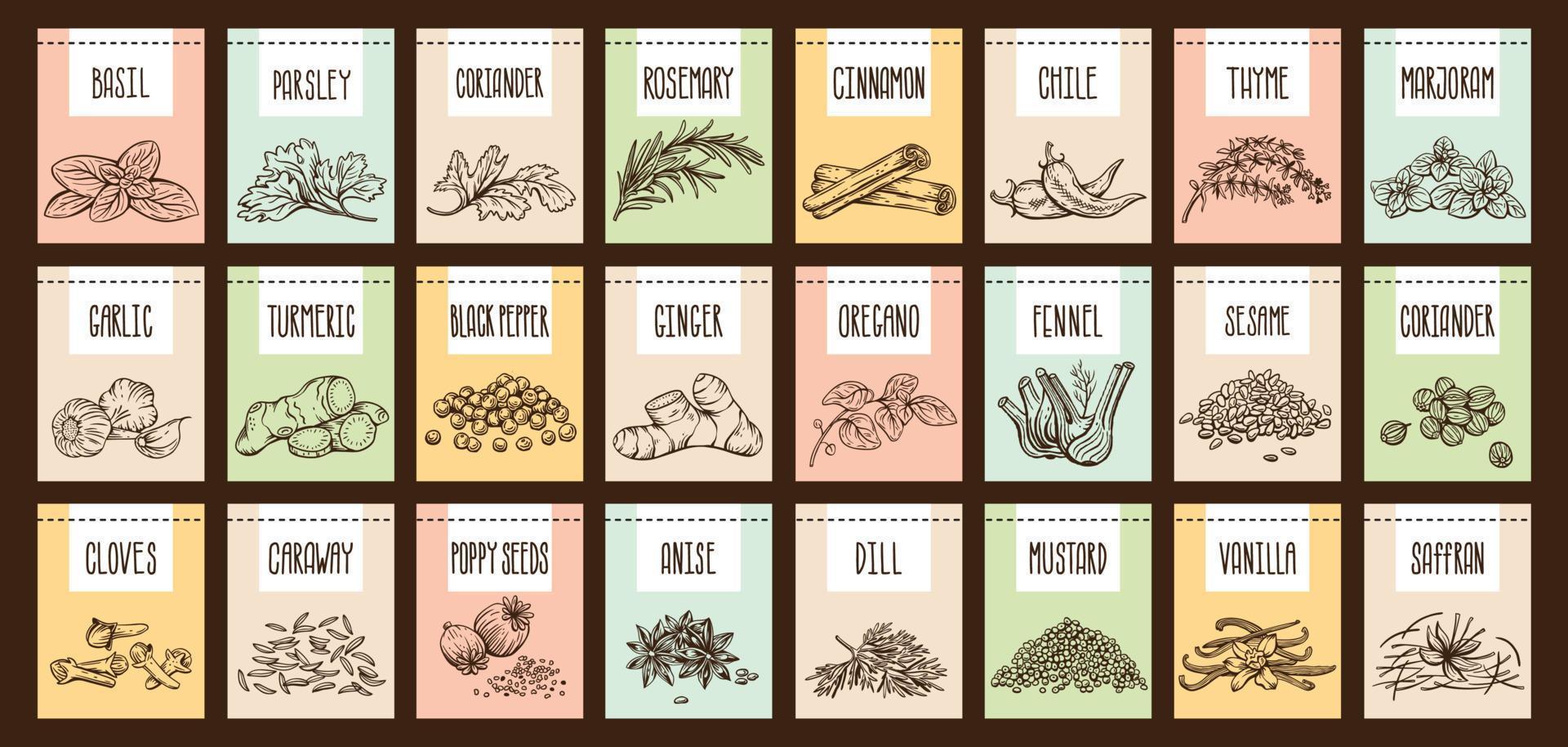 Vector set of stickers for spices.  basil, parsley, coriander, rosemary, cinnamon, chili, pepper, thyme, turmeric, black pepper, ginger, oregano, cumin, poppy, anise, garlic, dill