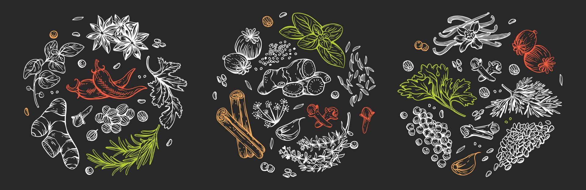 Vector set of linear illustrations with spices and herbs, basil, parsley, coriander, rosemary, cinnamon, chili, pepper, thyme, turmeric, black pepper, ginger, oregano, cumin