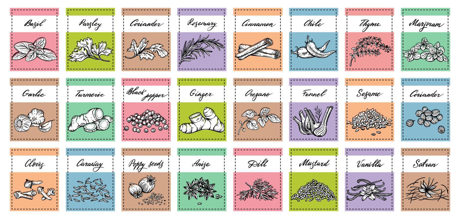 Vector set of stickers for spices.  basil, parsley, coriander, rosemary, cinnamon, chili, pepper, thyme, turmeric, black pepper, ginger, oregano, cumin, poppy, anise, garlic, dill, mustard, saffron