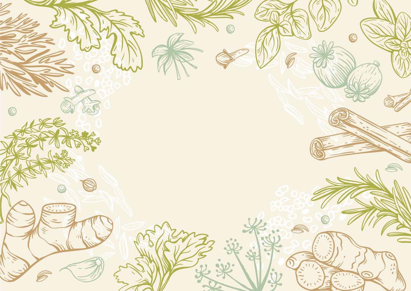 Vector copy space linear illustrations with spices and herbs, basil, parsley, coriander, rosemary, cinnamon, chili, pepper, thyme, turmeric, black pepper, ginger, oregano, cumin