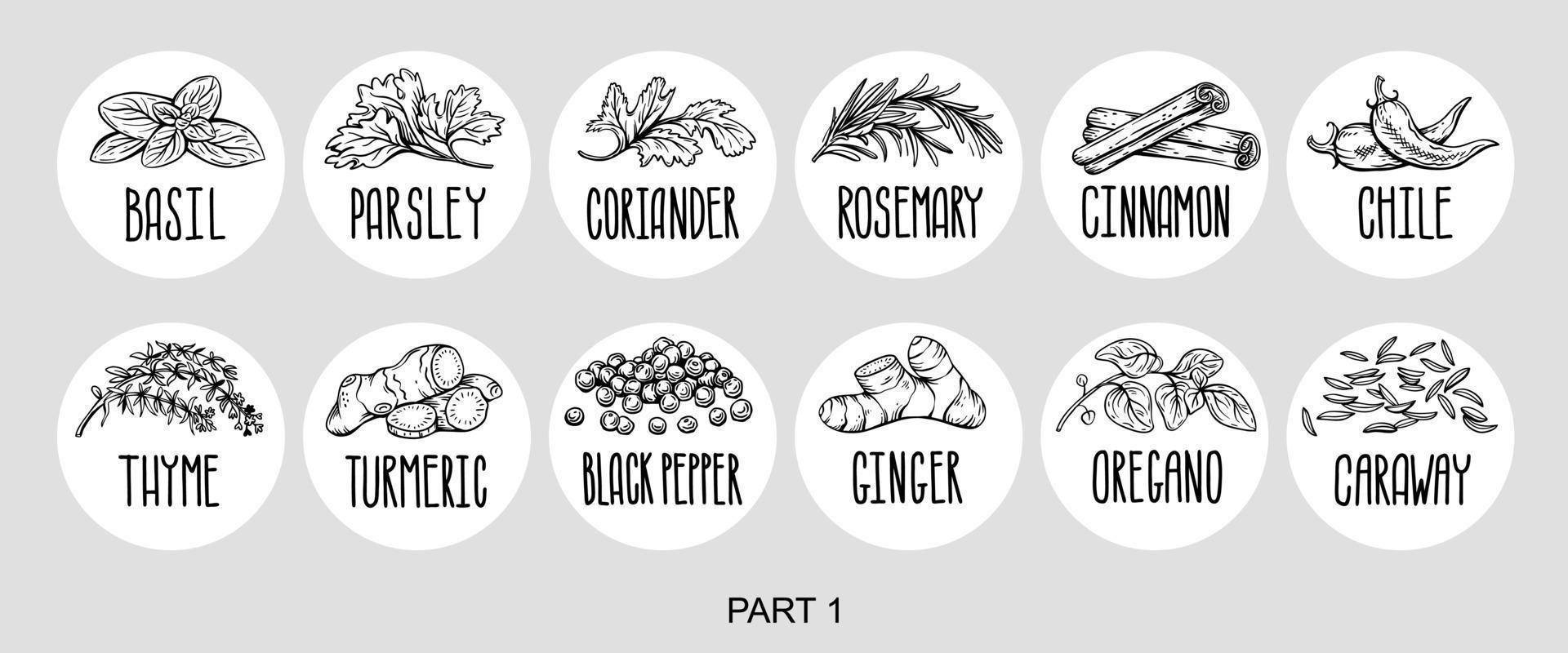 Vector set of stickers for spices.  basil, parsley, coriander, rosemary, cinnamon, chili, pepper, thyme, turmeric, black pepper, ginger, oregano, cumin, poppy, anise, garlic, dill, mustard, saffron