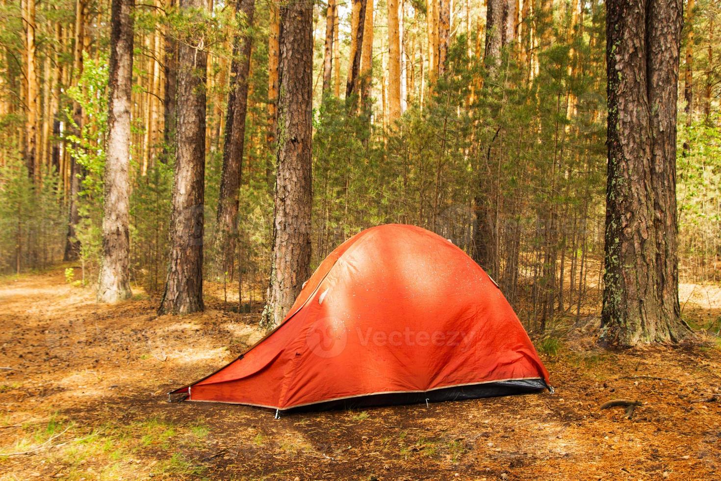 Siberia, Russia. An orange tent on a campsite in a forest in a sunny day after rain. photo