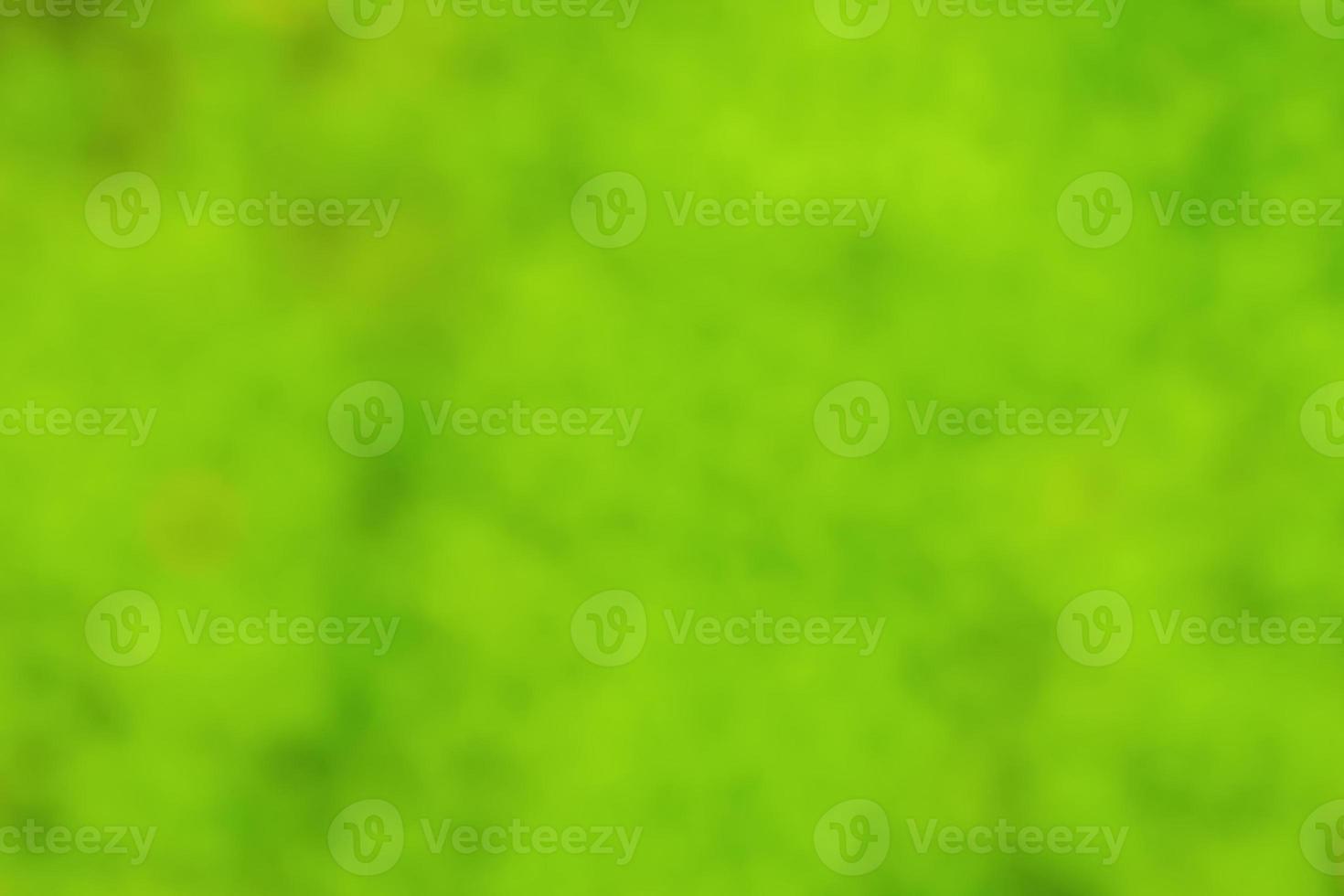 Green blurred abstract background. Summer background. photo