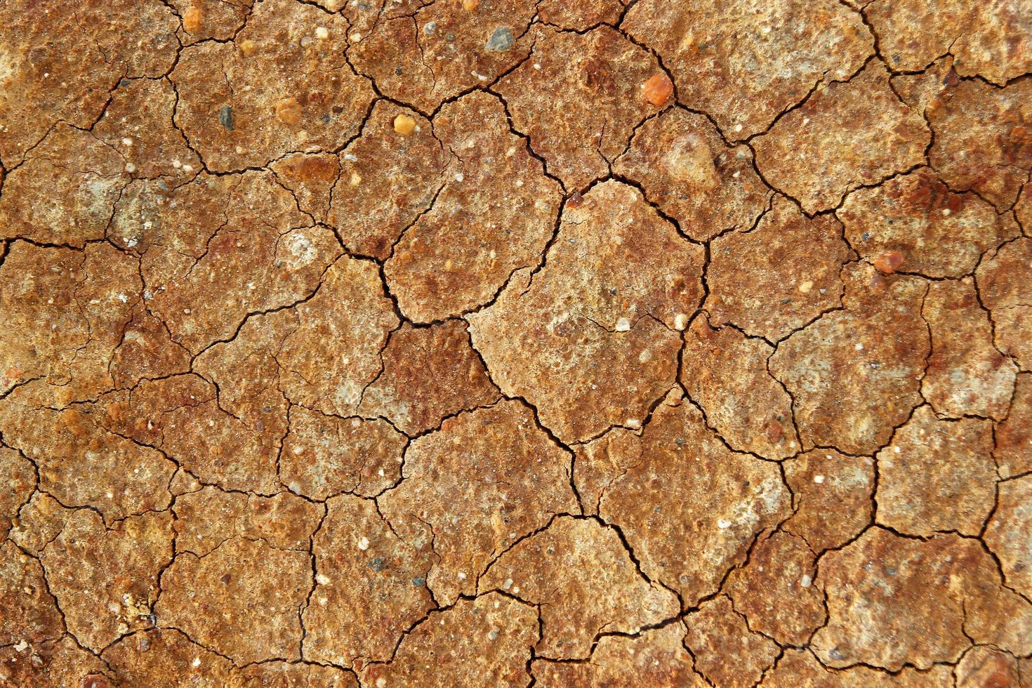 Dry cracked brown stony soil, top view. photo