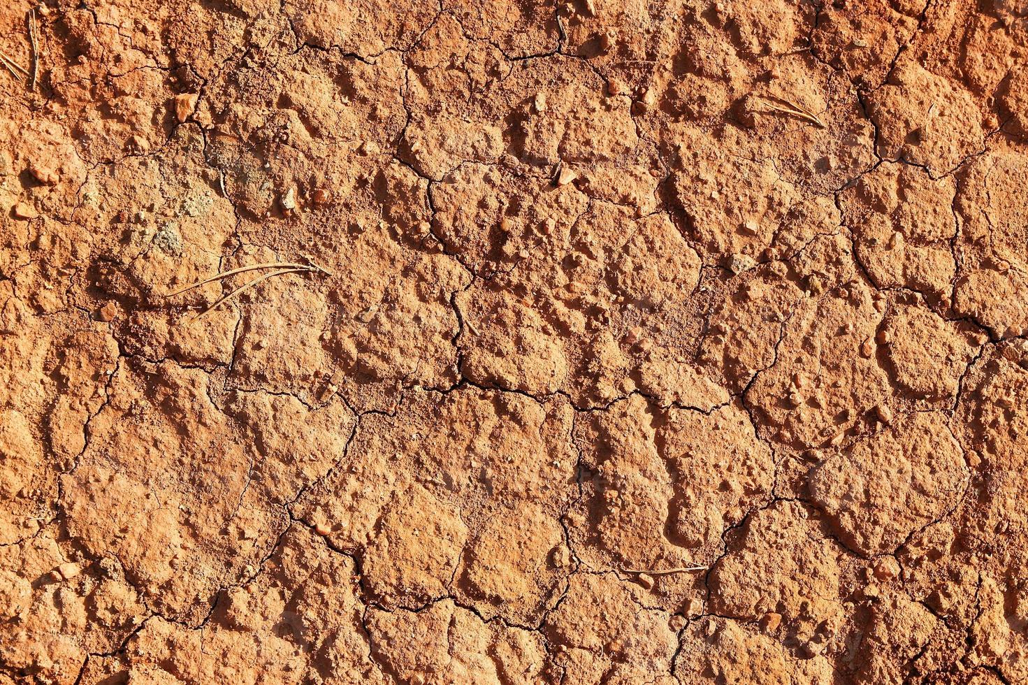 Dry polluted red stony soil, top view. photo