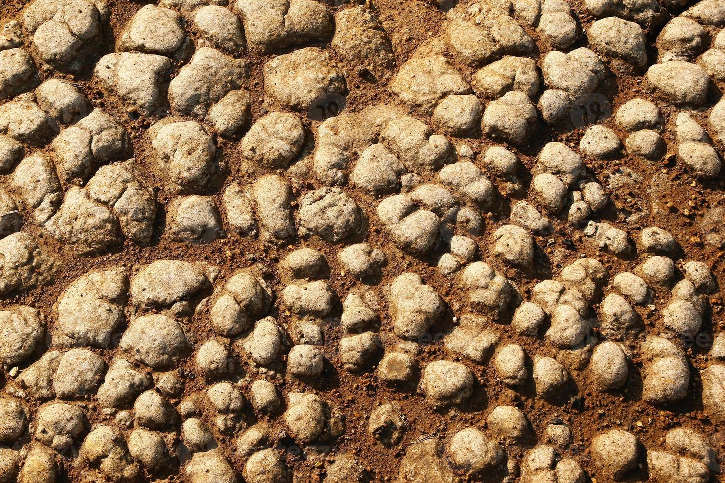 Dry cracked brown stony soil, top view. photo