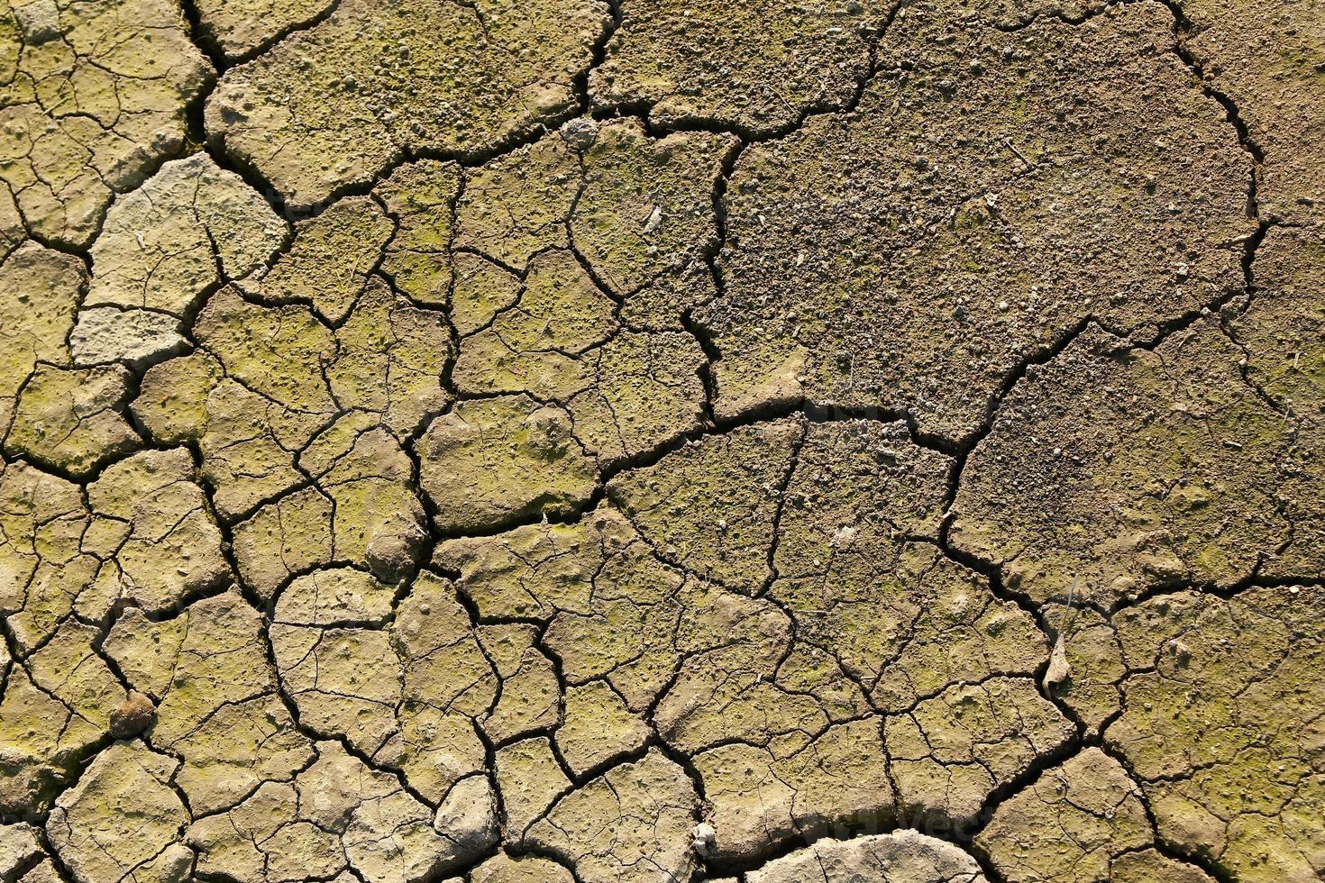 Dry cracked gray-green stony soil, top view. photo