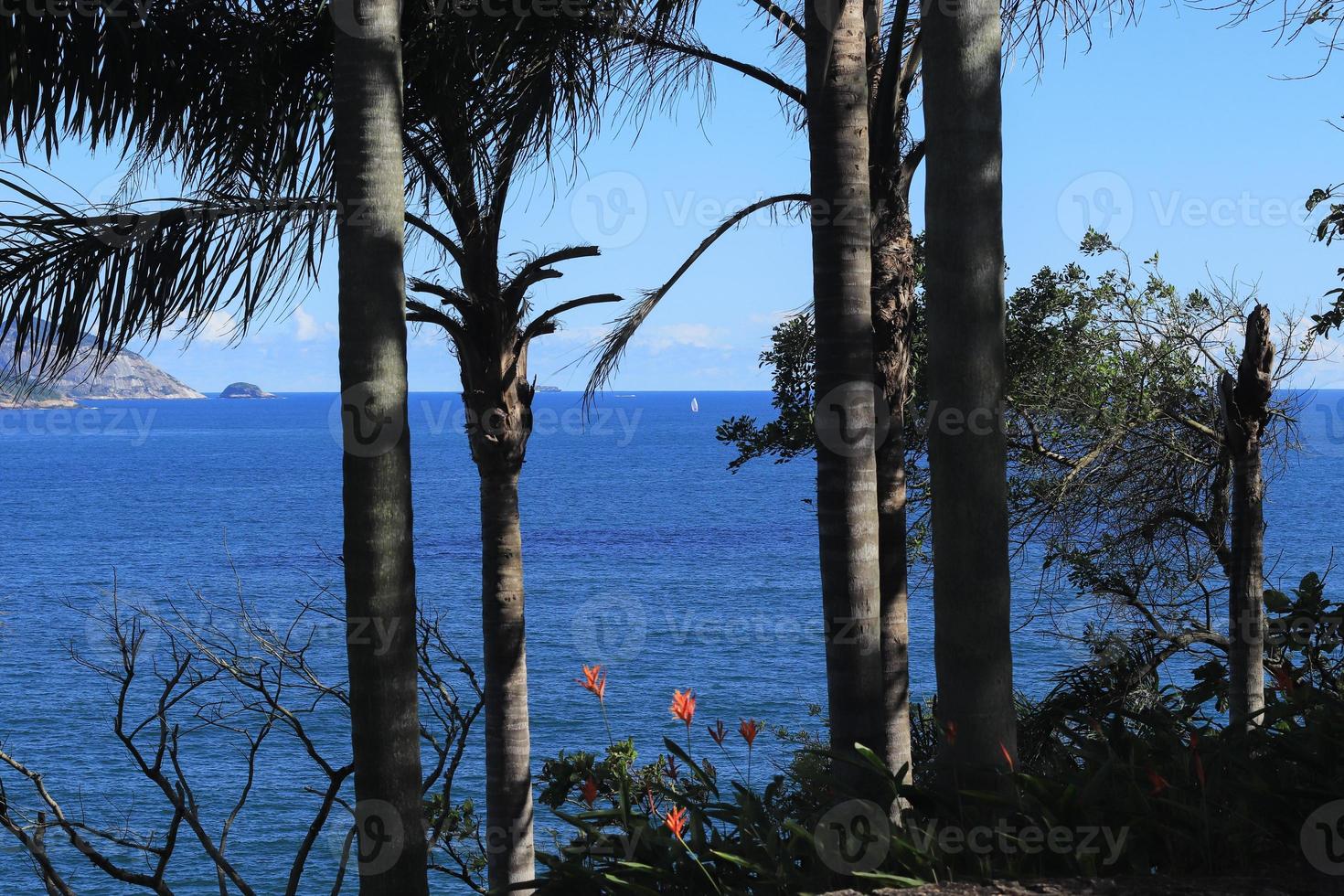 Rio de Janeiro, RJ, Brazil, 2022 - View of Leblon and Ipanema beaches from Two Brothers Cliff Natural Park photo