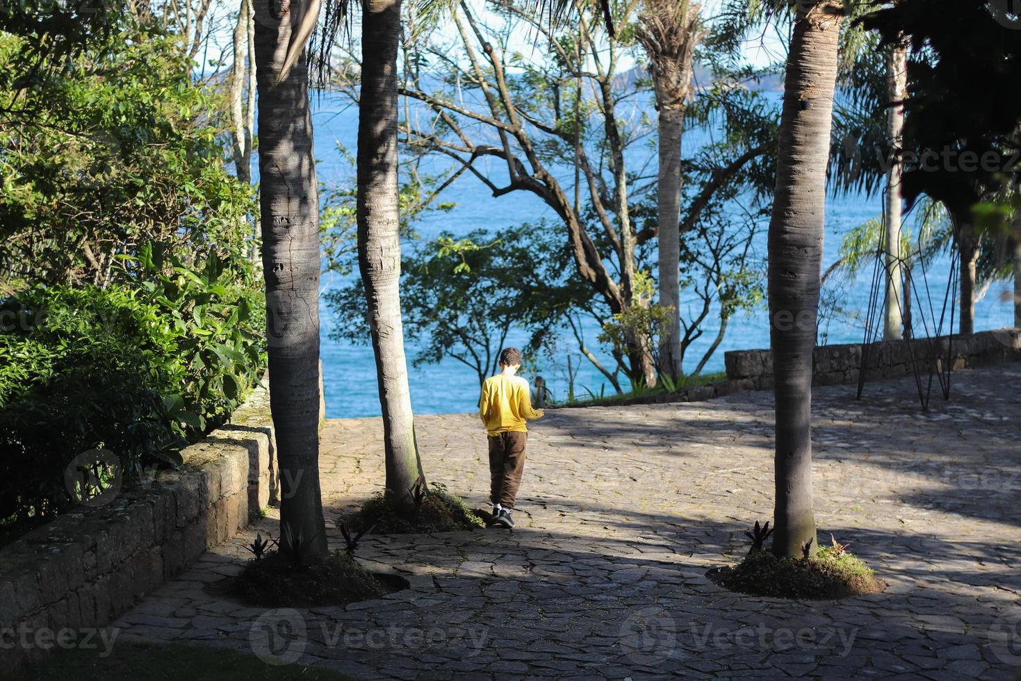 Rio de Janeiro, RJ, Brazil, 2022 - View of Leblon and Ipanema beaches from Two Brothers Cliff Natural Park photo
