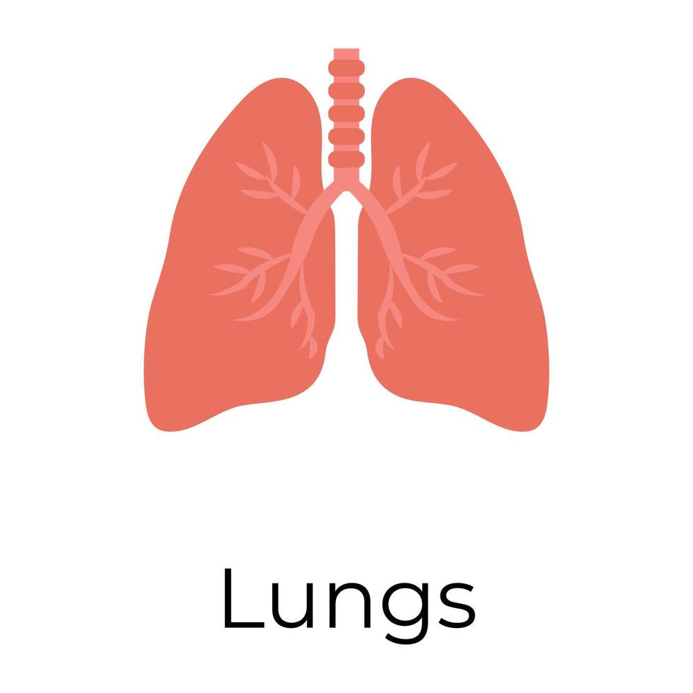Trendy Lungs Concepts vector