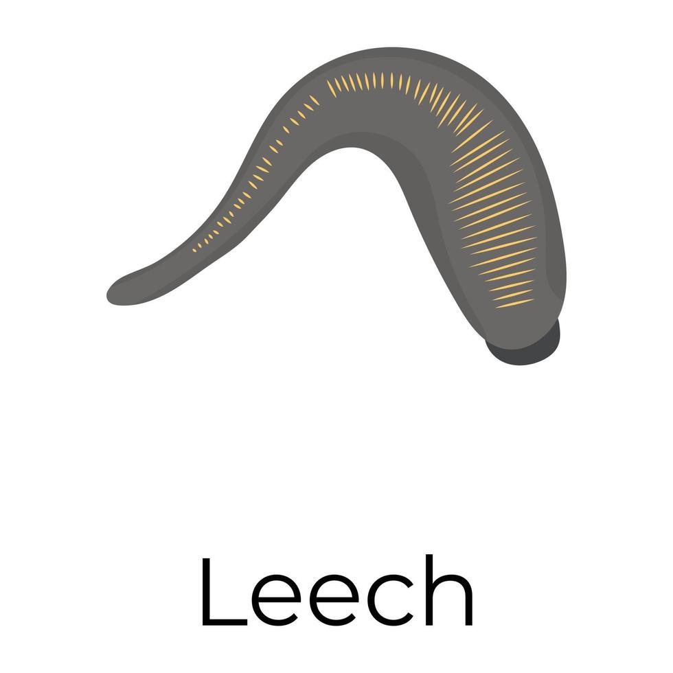 Trendy Leech Concepts vector