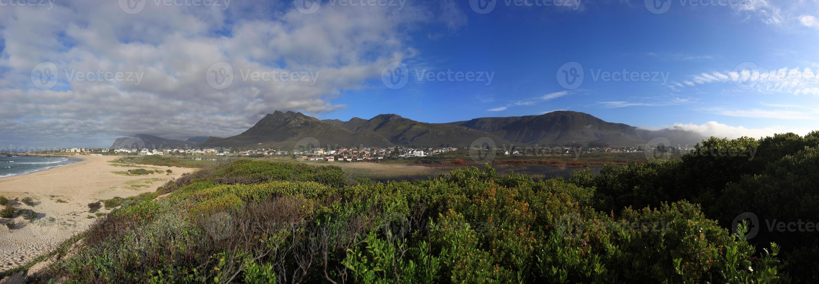 Scenic landscape with mountains on the horizon and fynbos in the foreground photo