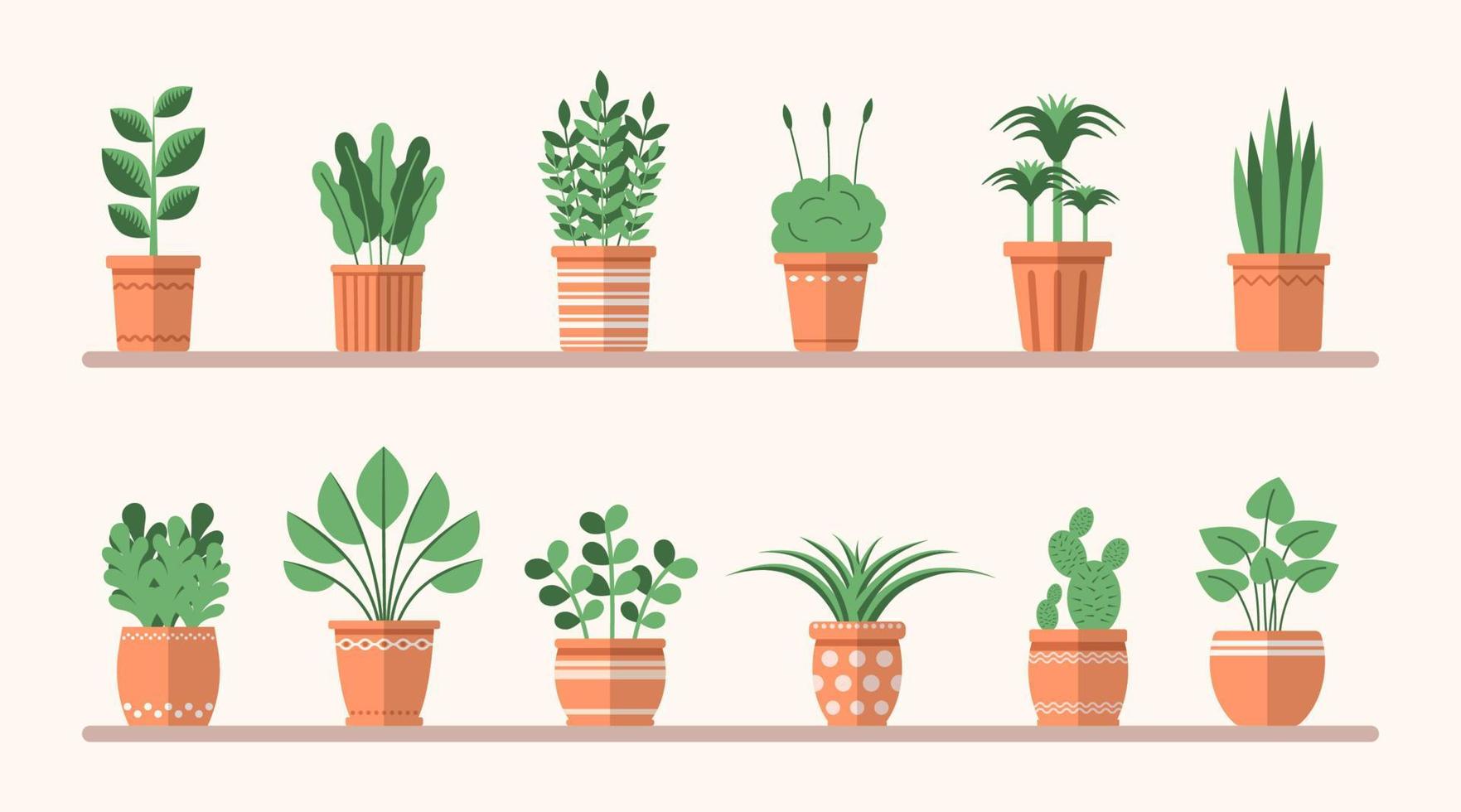 Set of different flat plants in pots on the shelves. Simple vector interior illustration. Isolated floral decorative elements for design, game, concepts