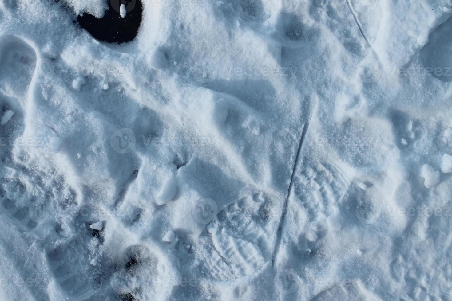 Close up view at the surface of fresh fallen snow. photo