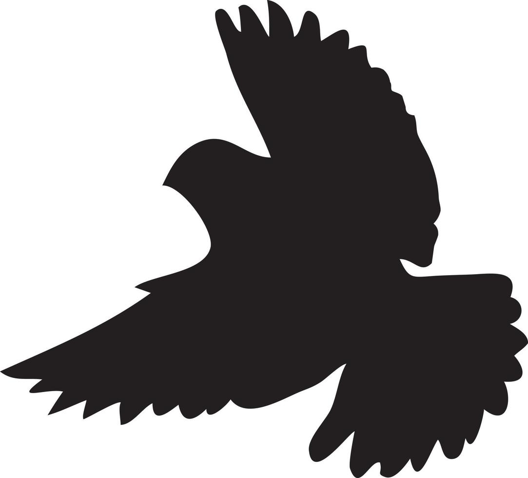 Bird eagle swallow black silhoute vector