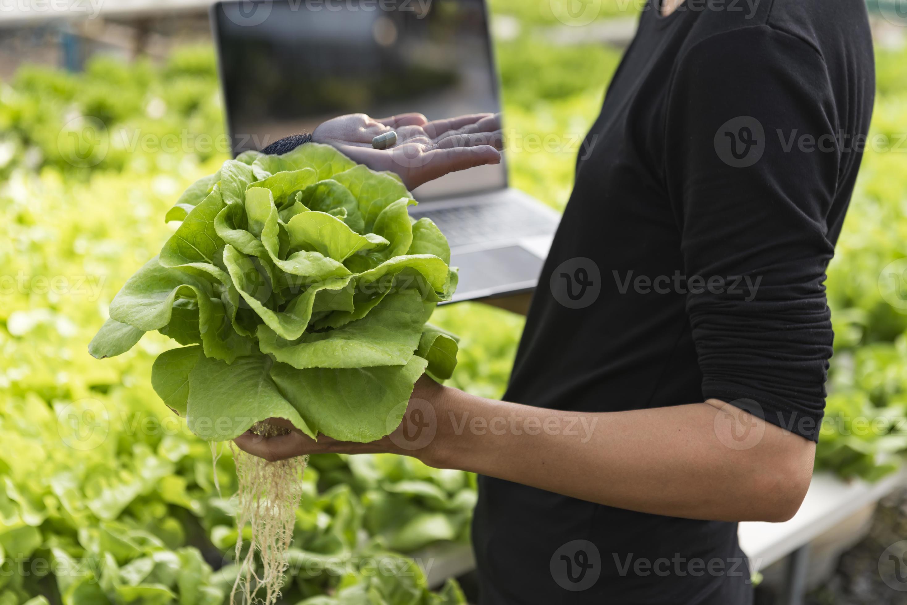 Female researchers examine vegetables for capsule filling. Food