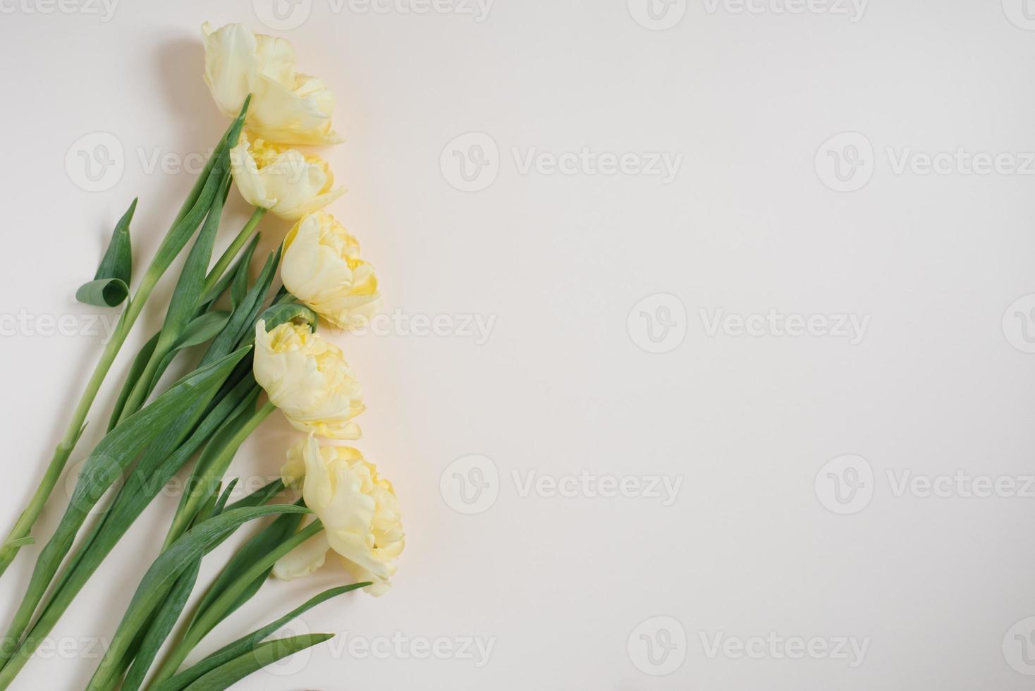 Composition of flowers. Yellow tulip flowers on a light background. Valentine's day, mother's day, womens day concept. Flat lay, top view photo