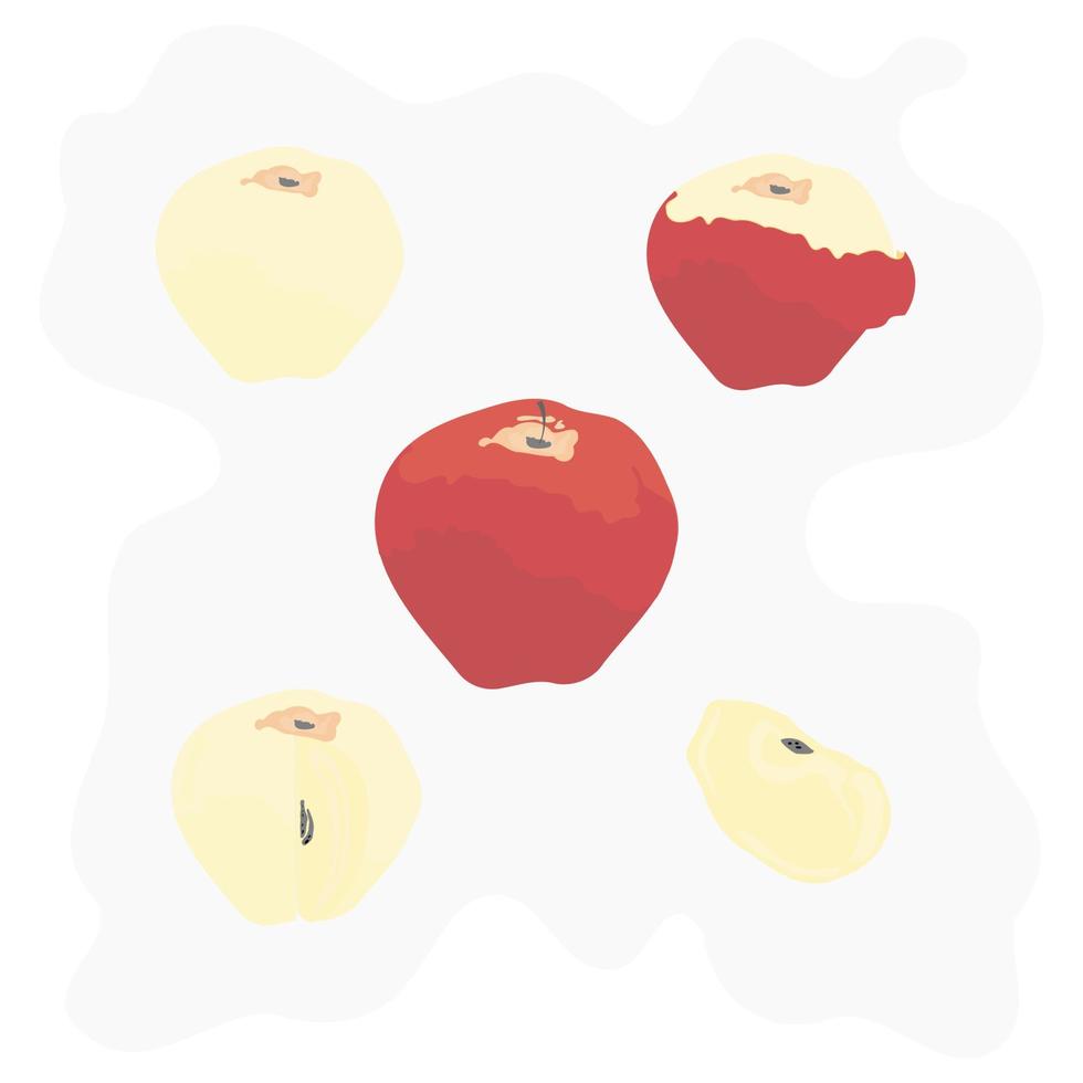 whole and slice of apple... vector
