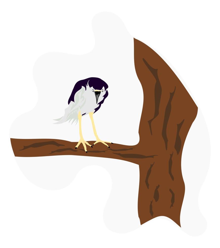 black crowned night heron bird vector