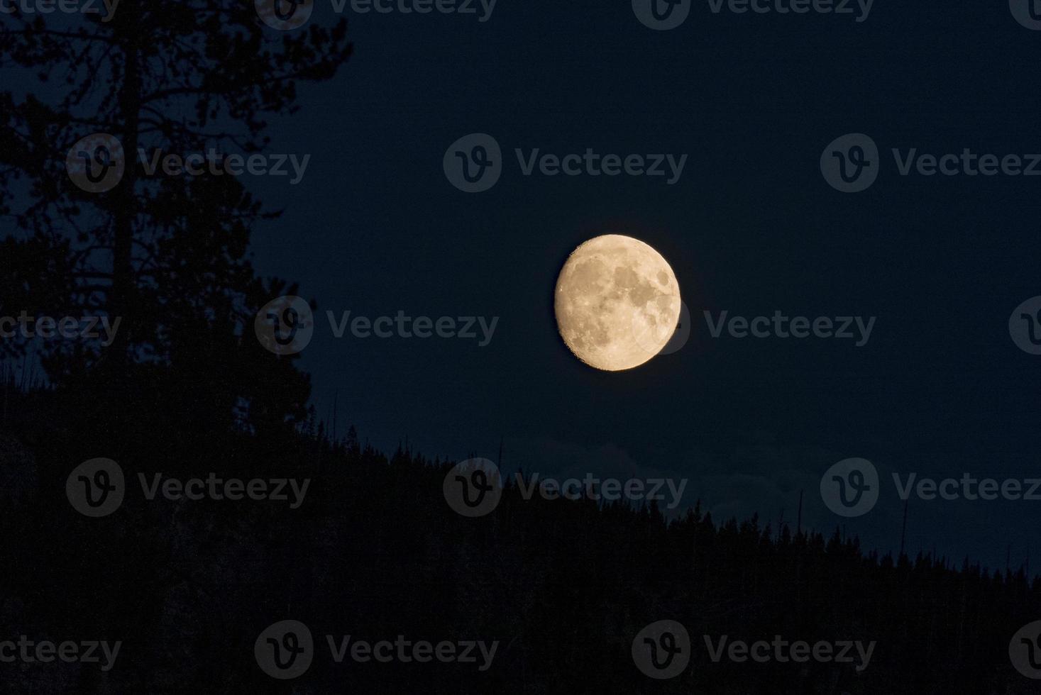 View of beautiful moon over silhouette landscape at Yellowstone park in night photo