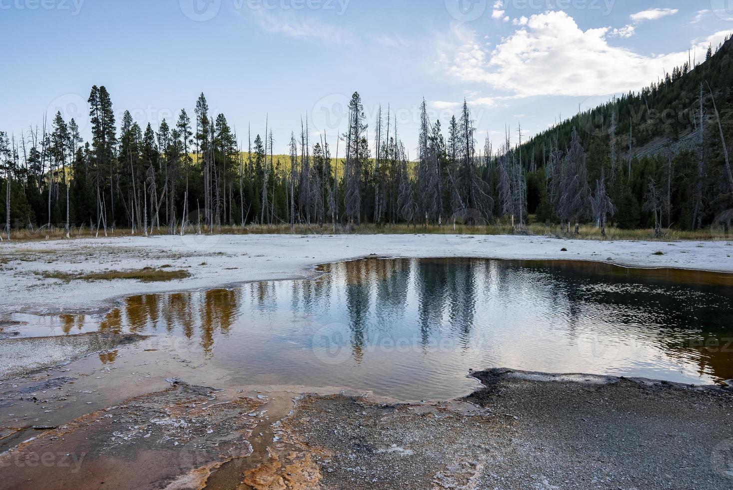 Reflection of trees in hotspring amidst geothermal landscape at Yellowstone park photo