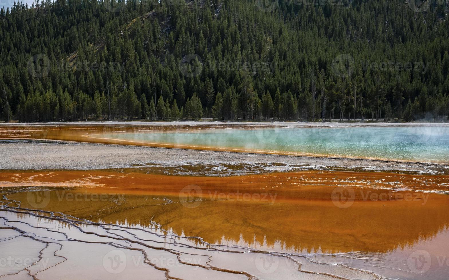 Beautiful Grand Prismatic Spring with trees in background at Yellowstone park photo