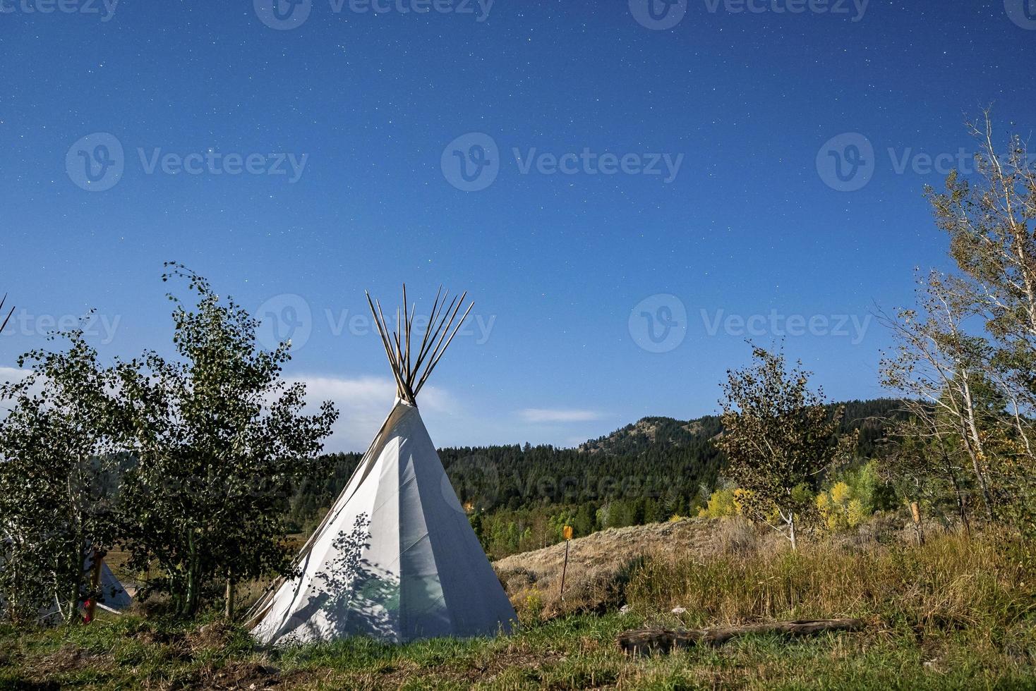 Teepees amidst trees on grassy field with blue sky in background during summer photo