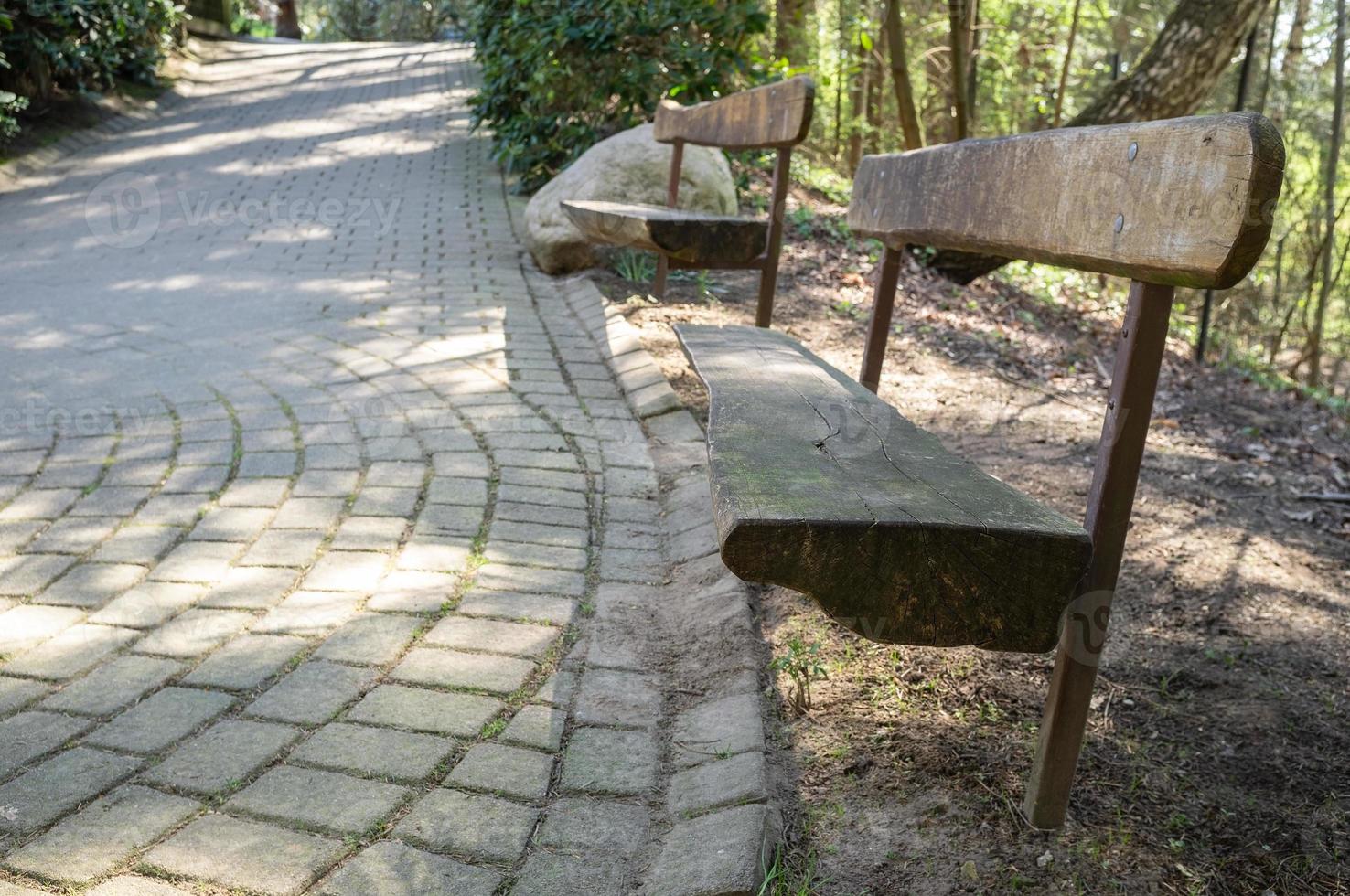 wooden benches in the park near a paved walking path with sunbeams photo