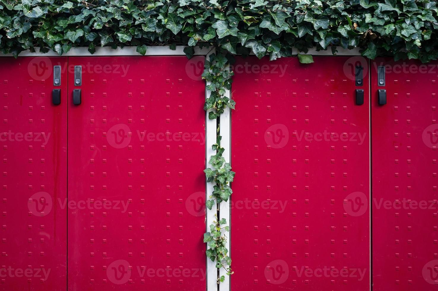 Closed red gates entwined with climbing green bushes protect the entrance to the private area. Copy space. photo