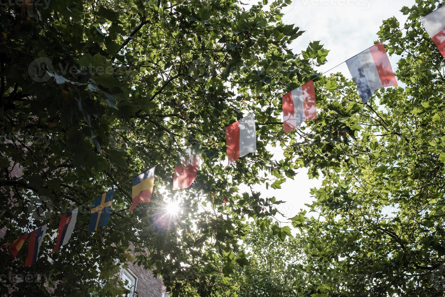 flags of european countries hang on the street photo