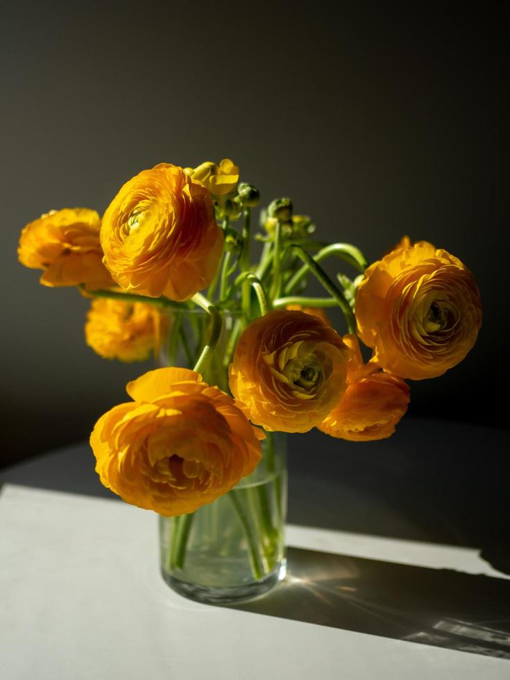 Ranunculus yellow flowers photo