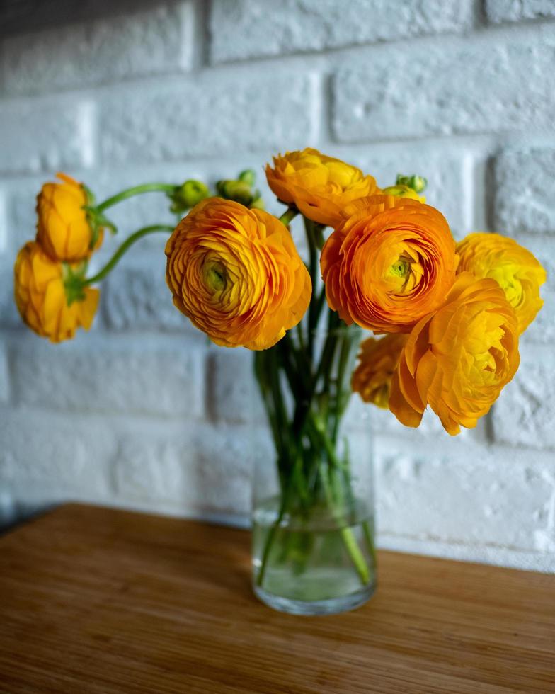 Yellow Ranunculus flowers photo