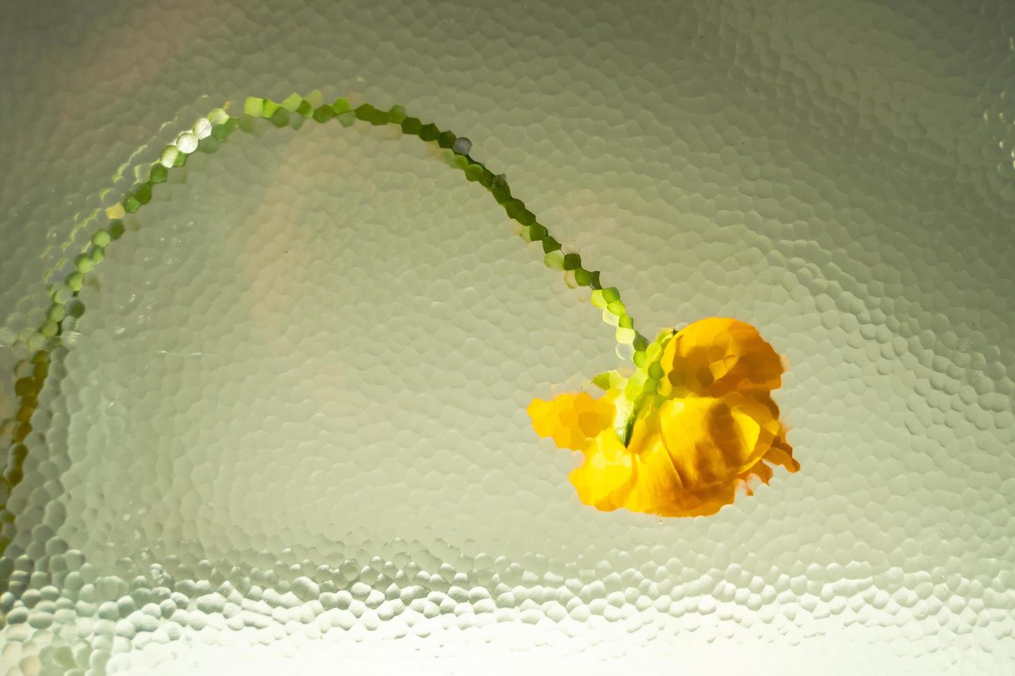 Abstract yellow flower photo