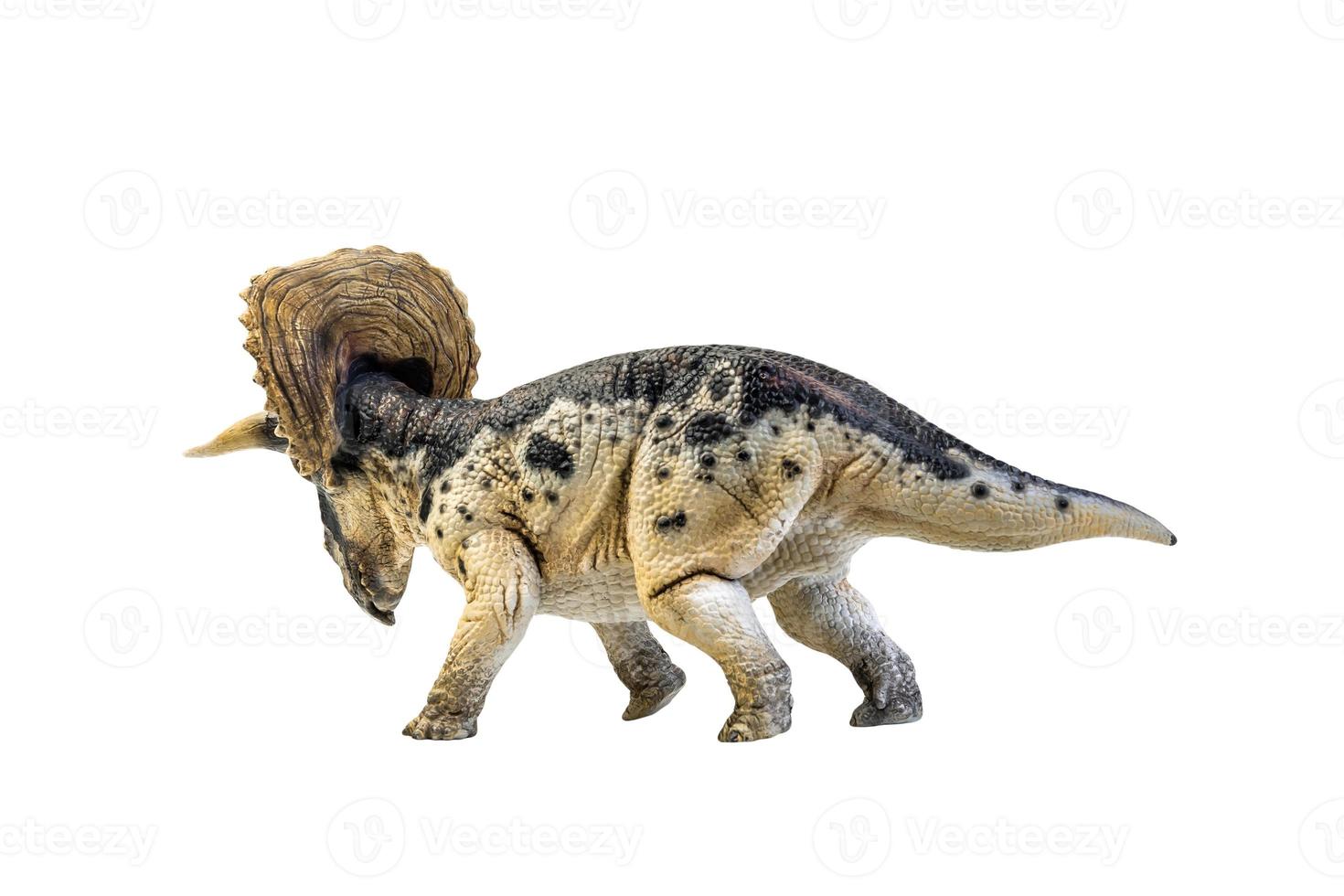 dinosaur , Triceratops on isolated background clipping path photo