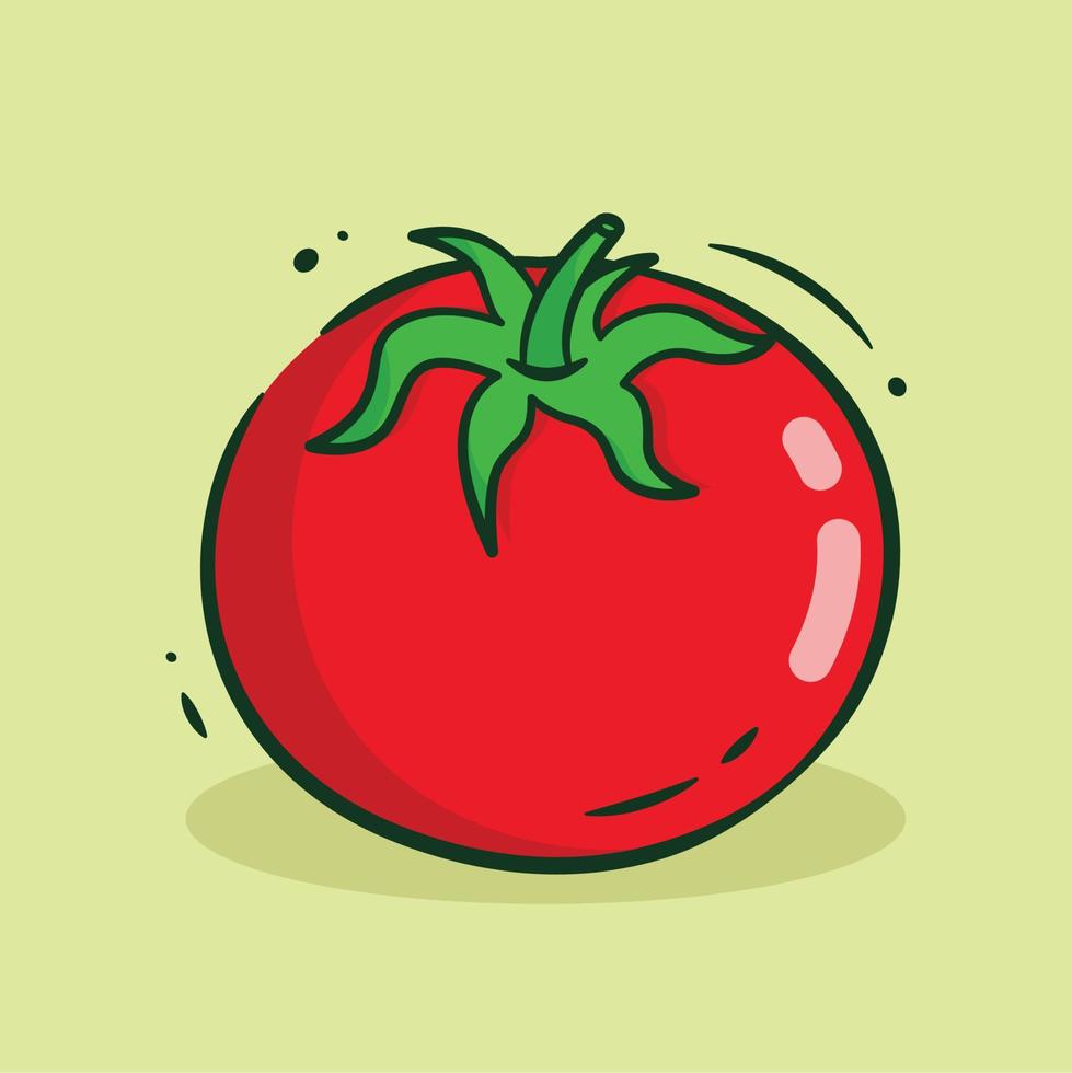 Illustration vector graphic of Tomato