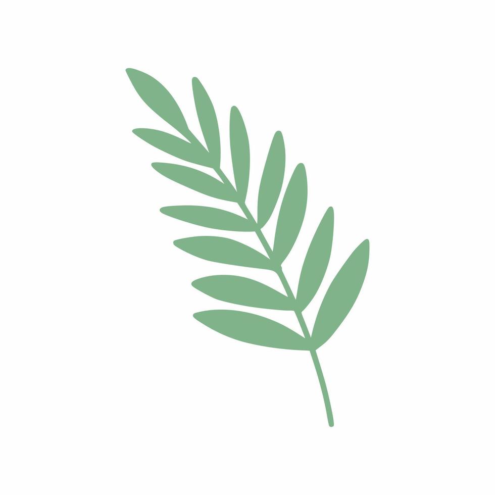 Tropical green leaf. African plant. Branch of palm tree. vector