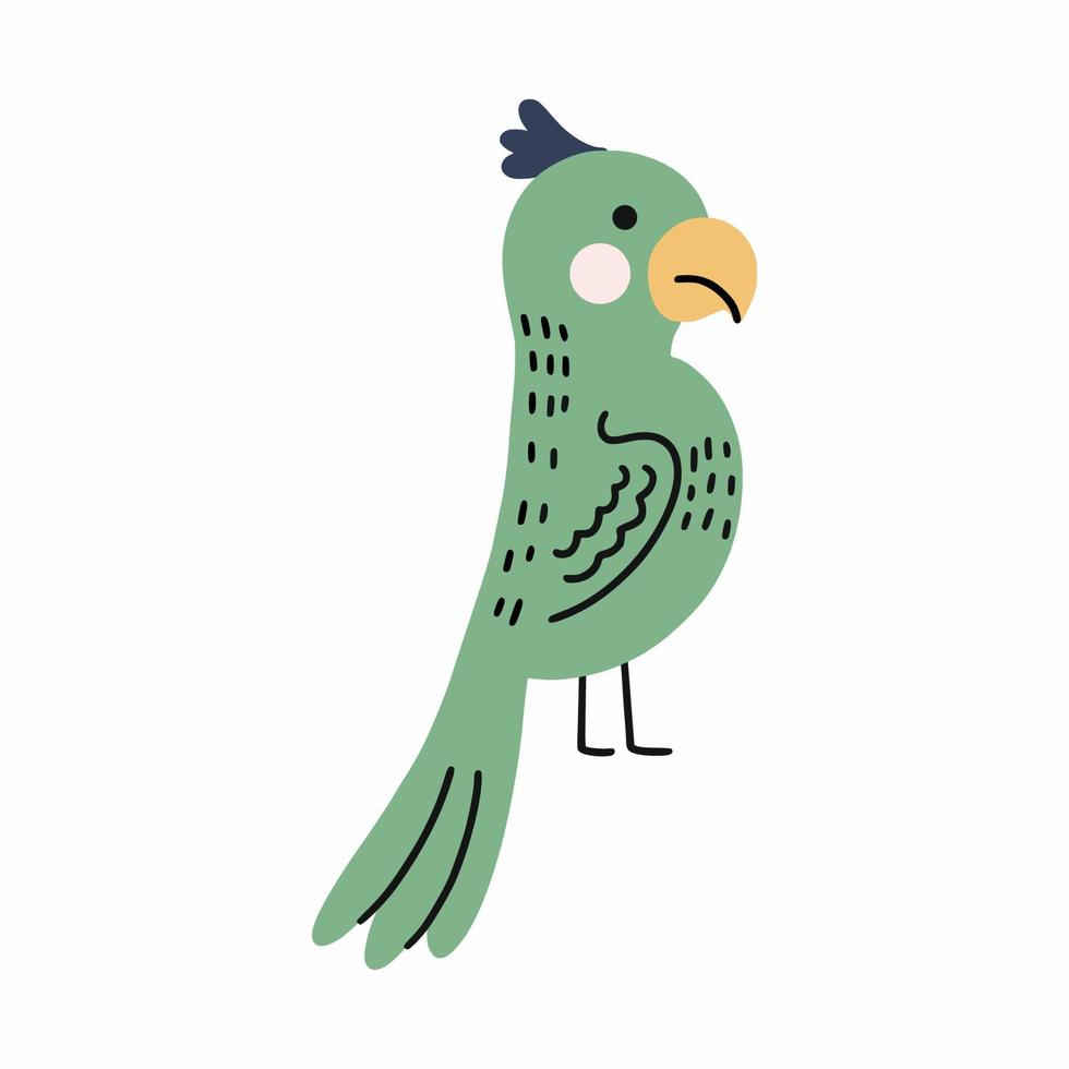 loro africano verde. pájaro lindo ilustración de garabatos vectoriales. animales para niños. vector