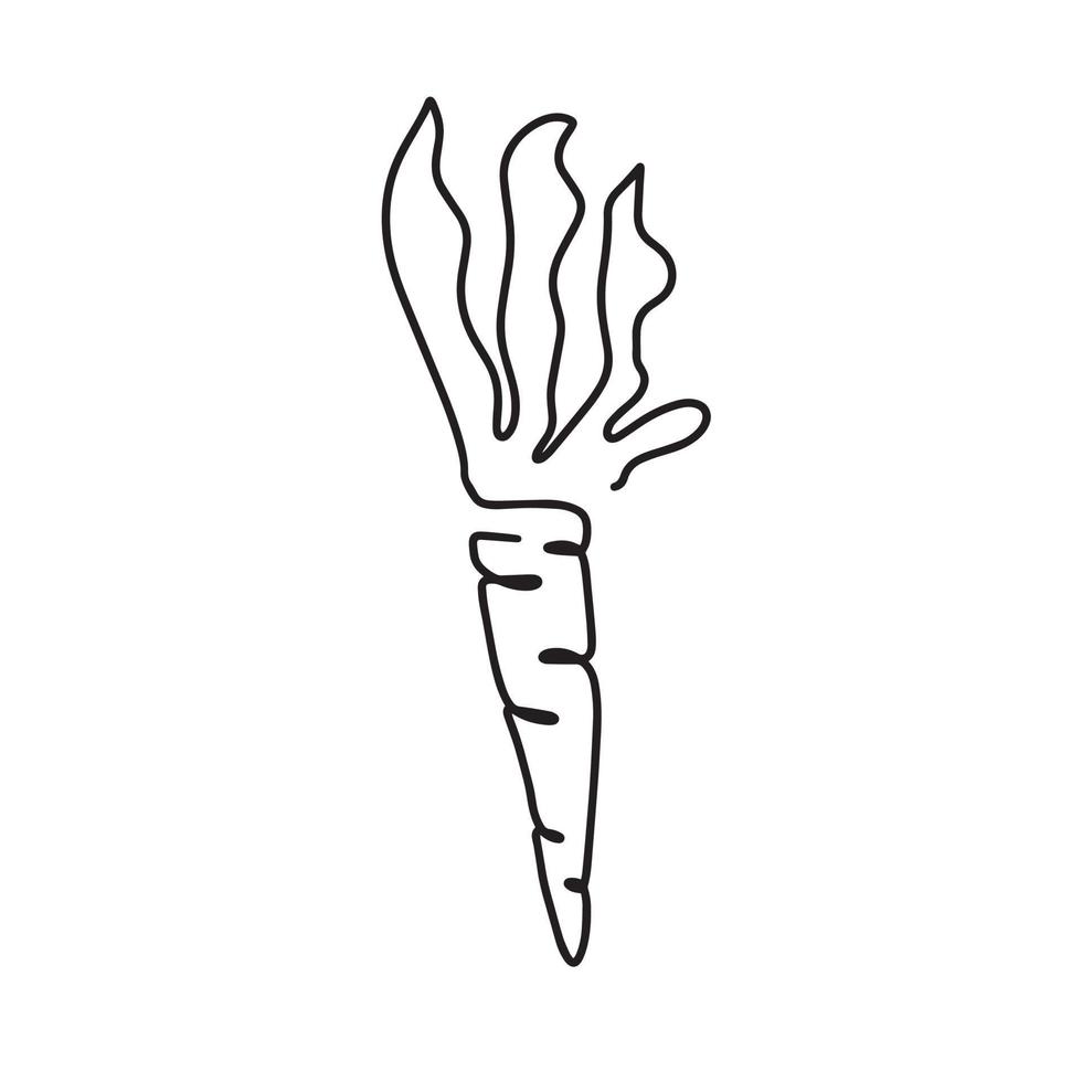 Simple carrot design in continuous line art drawing style. Growing carrot plant minimalist black linear sketch isolated on white background. Vector illustration.