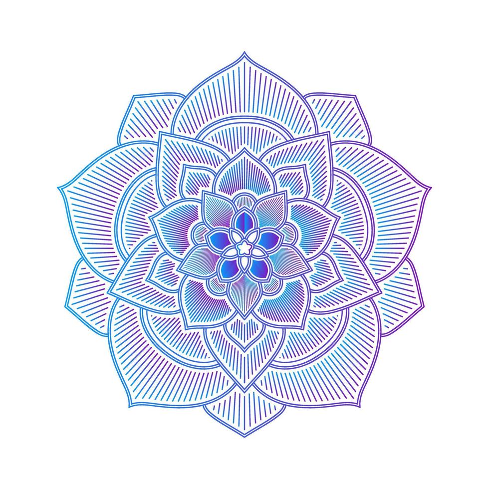 mandala de color degradado sobre fondo blanco aislado, mandala con motivos florales. adornos vector