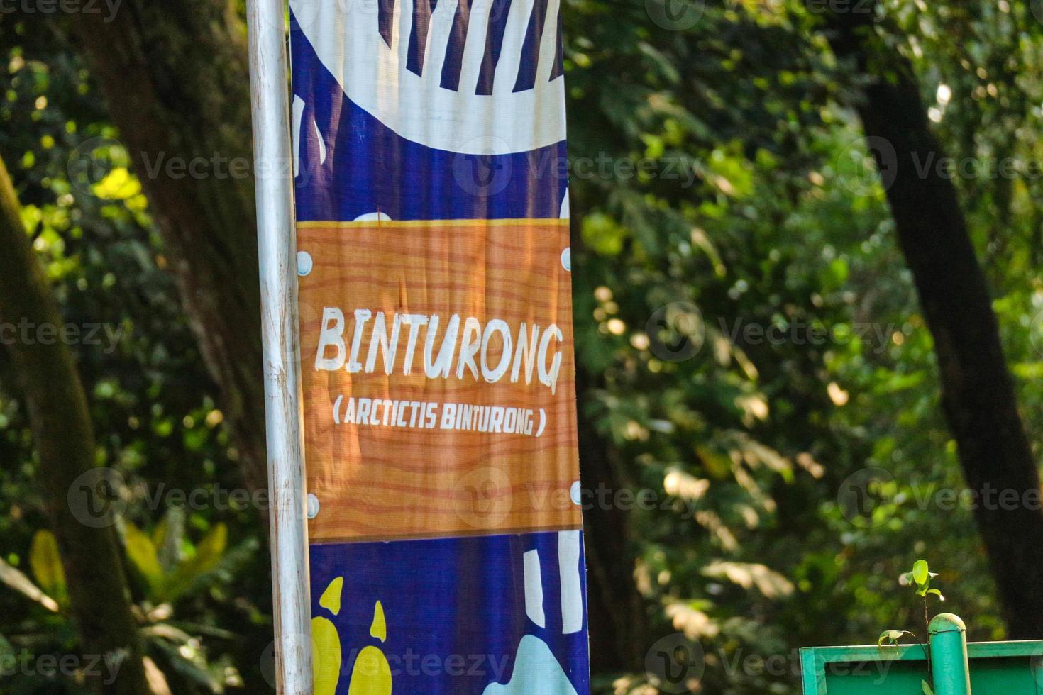 This is photo of a binturong at Ragunan Zoo.