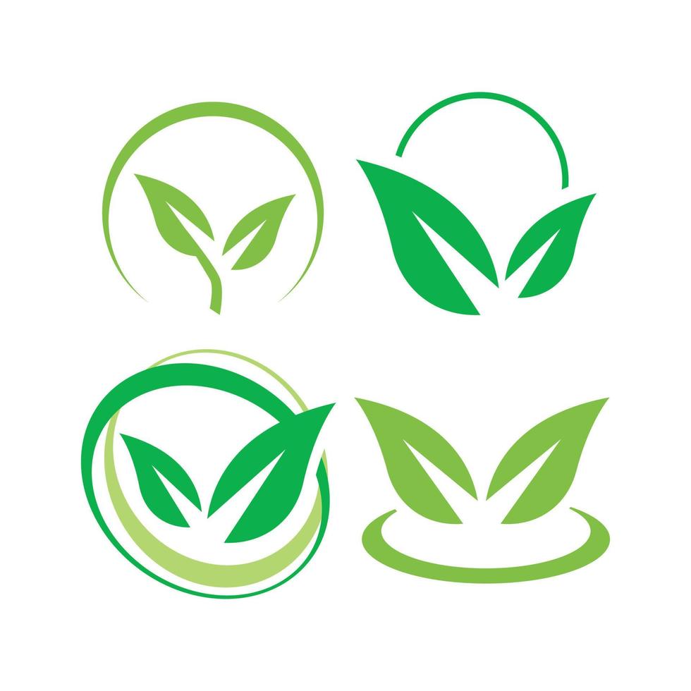 logotipo verde ecológico. ilustración vectorial ecológica un icono ambiental vector